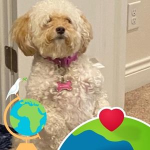 Meet your Posher, Lawanda